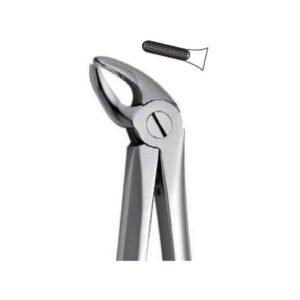 Extraction Forceps Instrument