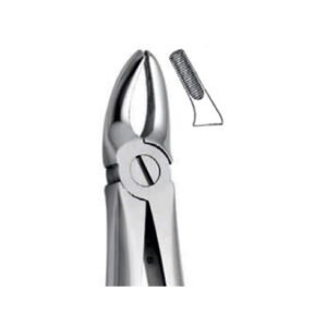 Extraction Forceps Instrument