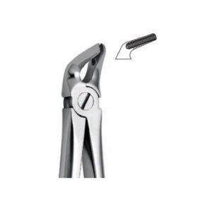 Extraction Forceps Instrument
