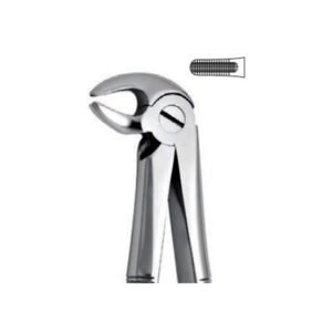 Extraction Forceps Instrument