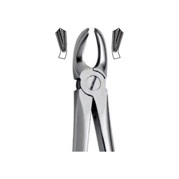 Extraction Forceps Instrument
