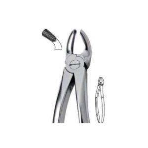 Extraction Forceps Instrument
