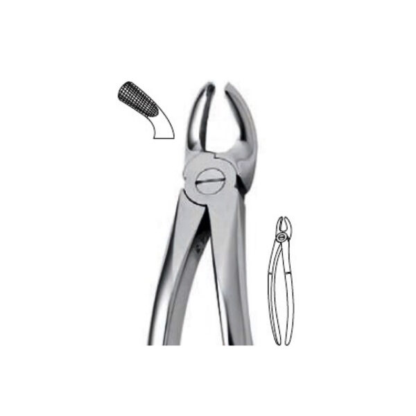 Extraction Forceps Instrument
