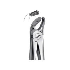 Extraction Forceps Instrument